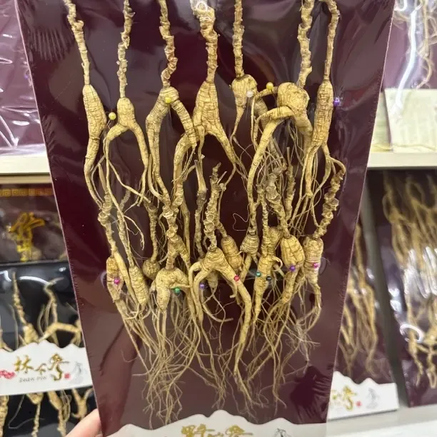 【现货实拍仅1份】干林下参22-25年林下野播籽46克