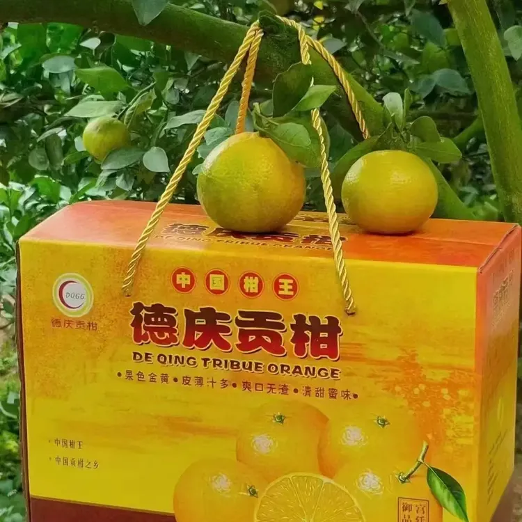 正宗德庆皇帝柑贡柑现摘新鲜应季水果皮薄蜜味多汁产地直发