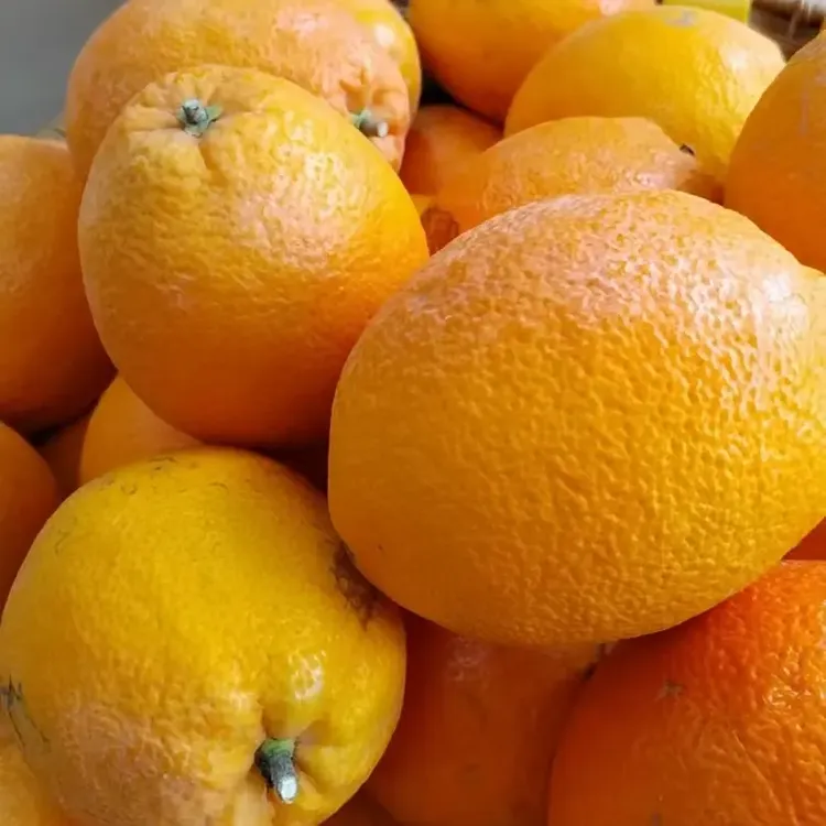 东川区拖布卡镇新店房红土橙，皮薄爆汁，九分甜一分酸