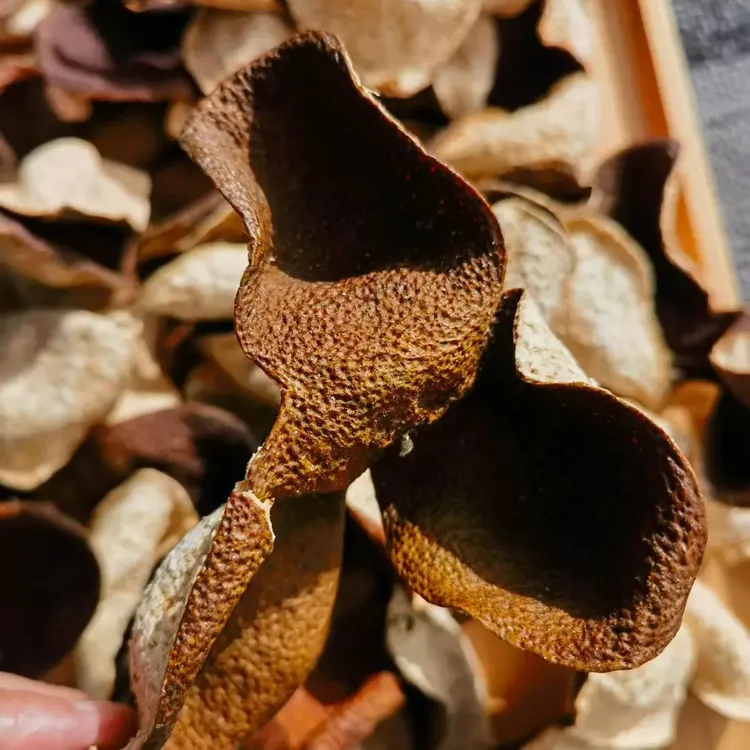 2020年新会陈皮柑柑好