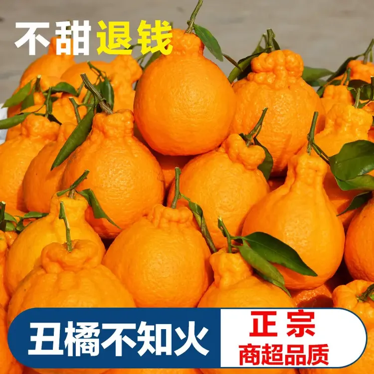 【顺丰发货】正宗高山不知火丑橘当季时令新鲜孕妇水果鲜甜多汁皮薄