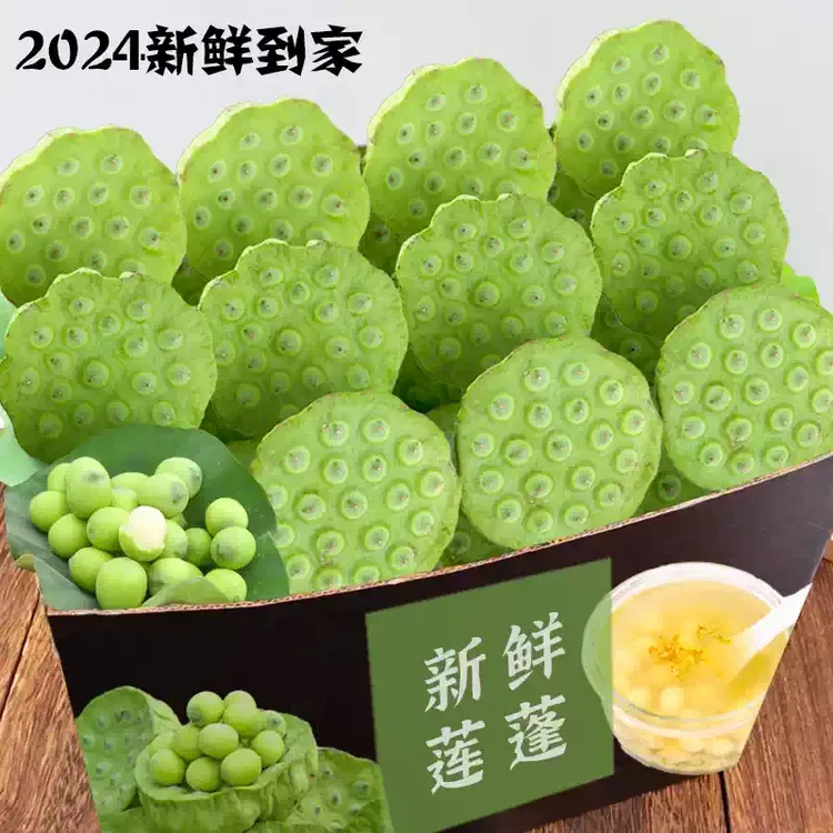 莲子新鲜莲蓬生吃清甜现摘现发农家自种带壳莲蓬新鲜生吃煲汤都可