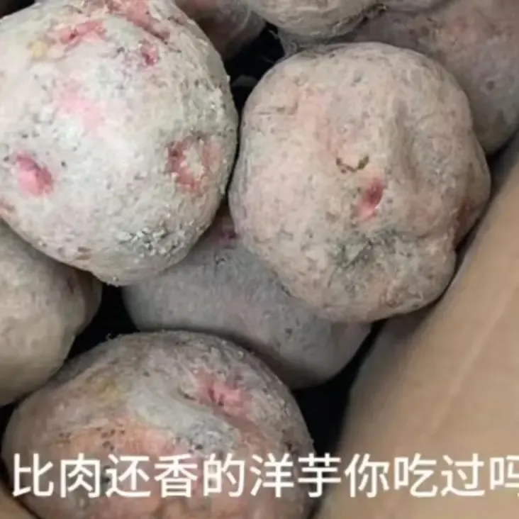 云南东川开花洋芋现挖现发粉面沙口感特产