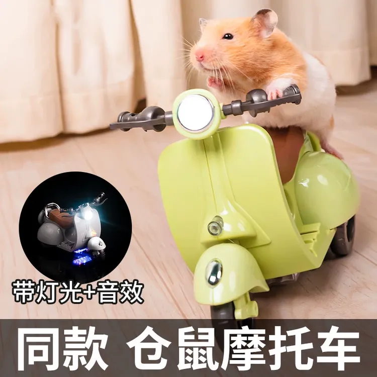 迷你电动车玩具旋转电动小摩托车炫技宠物电瓶车仓鼠小摩托小