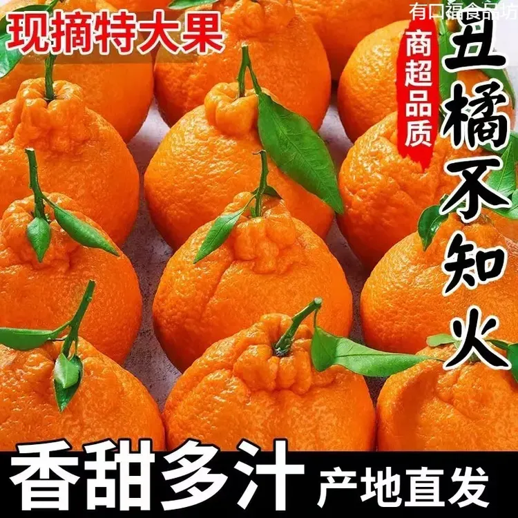 不知火丑橘子正宗高山果园柑橘孕妇水果桔子新鲜应季现摘现发包邮