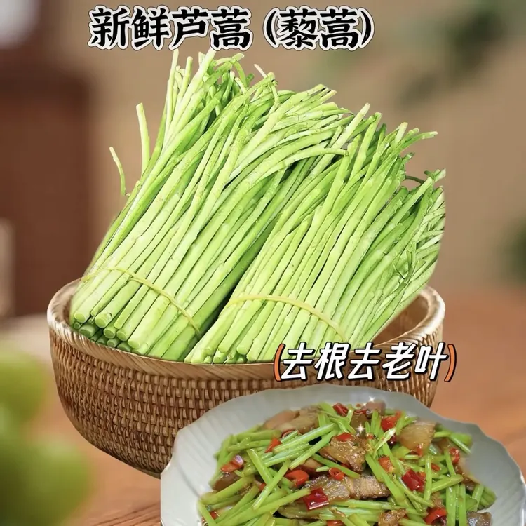 新鲜藜蒿 农家自种美味蔬菜藜蒿 