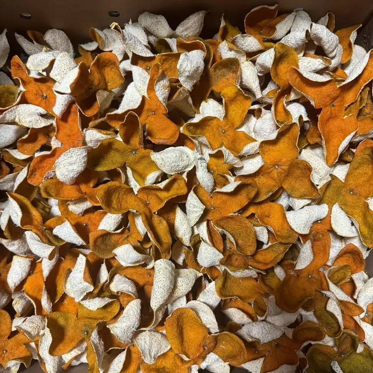 正宗新会核心产区圈枝【冬后】大红陈皮自然生晒干仓