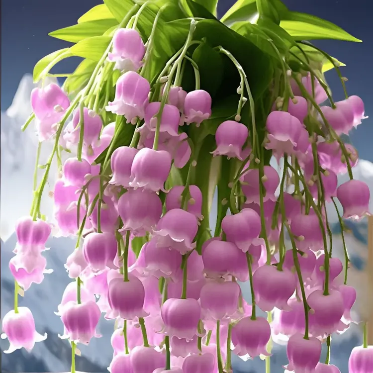 四季铃兰花带根带芽浓香大花型新手好养花卉绿植盆栽花苗室内种植