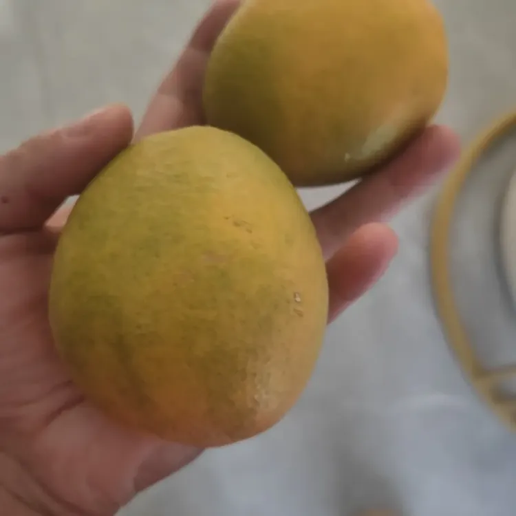 宜昌新鲜采摘蜜橙汁多无渣应季水果（30/箱/10斤小果100g）