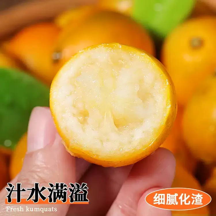 脆皮金桔5斤广西小橘子蜜金柑新鲜纯甜当季水果孕妇整箱包邮