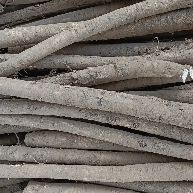 甘肃岷县原产地高海拔鲜黄芪节子滋补养生泡水炖汤包邮