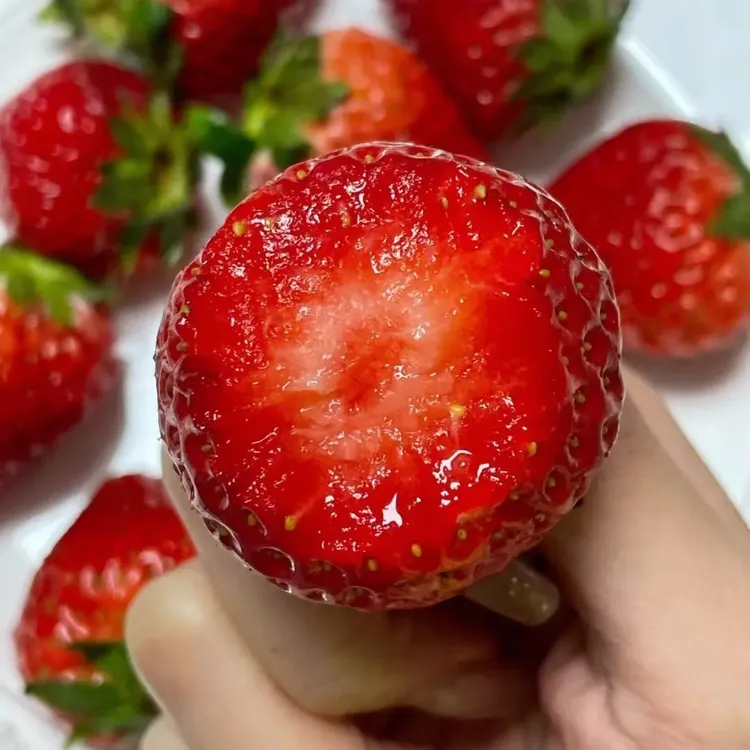 2025崇明头新鲜现摘红颜奶油草莓奶油