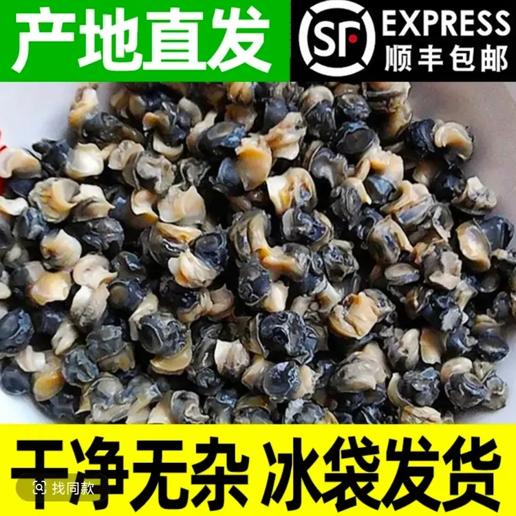 溪口水库新鲜现挑螺蛳肉真空独立包装可做螺蛳粉原料下饭菜