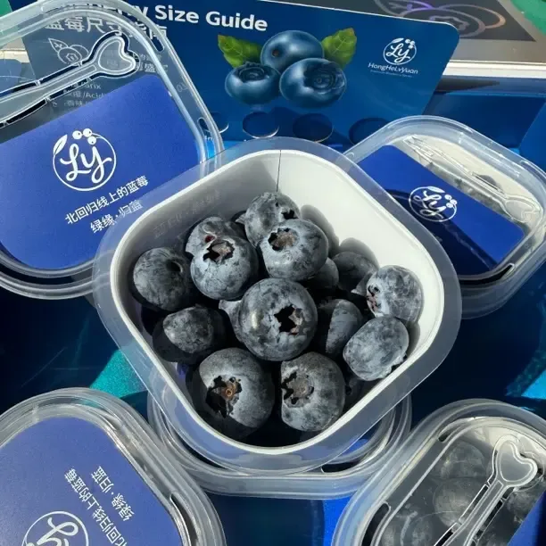 18mm+云南新鲜花香蓝莓现采现发顺丰包邮【礼盒包装】