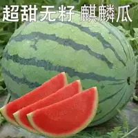 【五袋包邮】无籽麒麟瓜种籽大全正宗麒麟无籽西瓜种子高产水果种子
