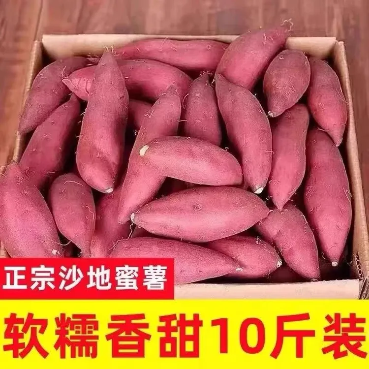 新鲜现挖沙地蜜薯1-10斤超甜黄心烤红薯番薯地瓜蔬菜烟薯软糯香甜