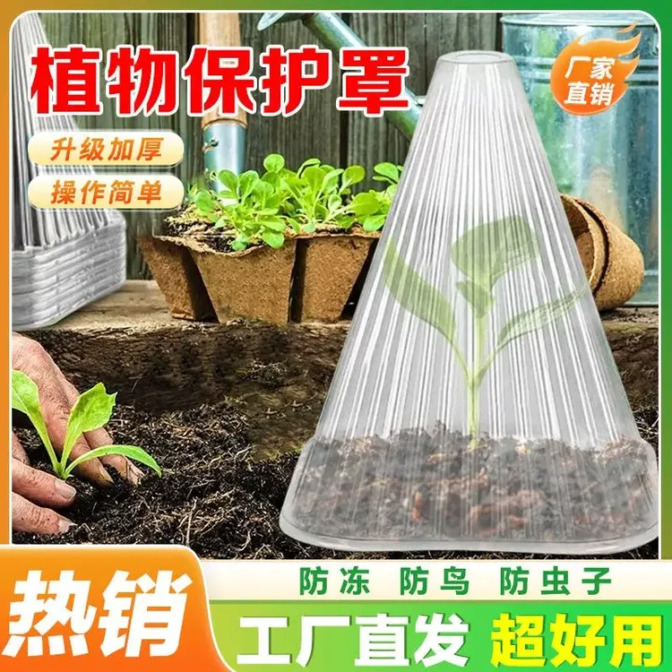 抢！春季【植物保护罩】PET熟料升级加厚防鸟幼苗保护罩防冻伤害