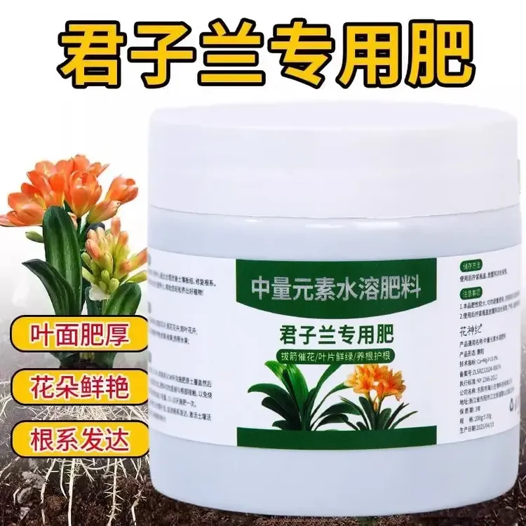 君子兰专用肥营养液叶子发黄掉叶促箭催开花免稀释