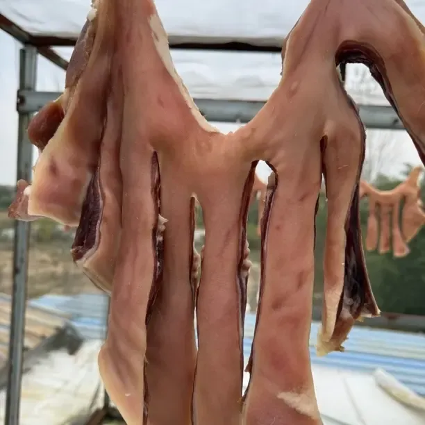 农家自制带排仔猪肉生肉