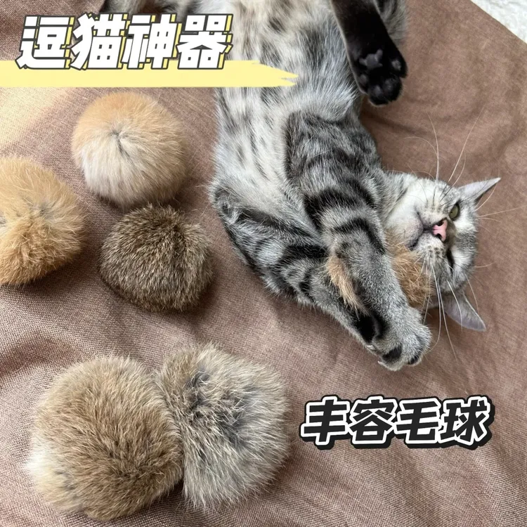 猫咪玩具兔毛球气味丰容真兔毛逗猫球静音解闷宠物玩具宠物嗅闻