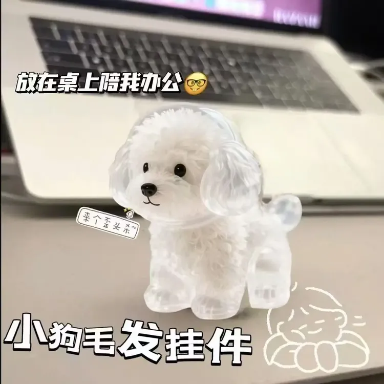 透明猫和狗收纳盒吊饰扭蛋钥匙扣挂件猫狗毛发存放胶囊创意小饰品