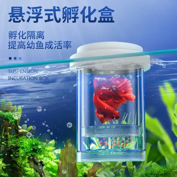 孔雀鱼生产隔离盒孔雀鱼繁殖盒鱼苗隔离盒漂浮孵化器悬浮式孵化盒