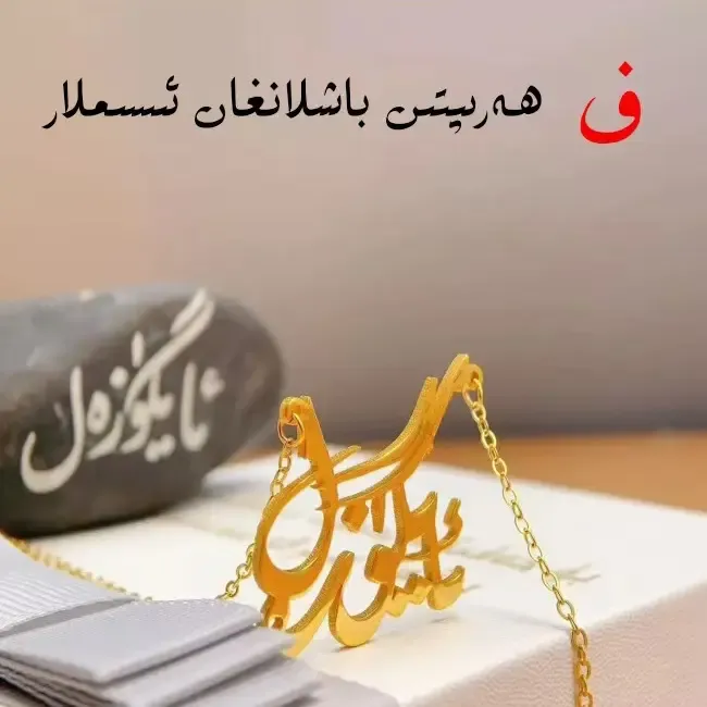 钛钢项链 F开头名字项链 isim zanjir