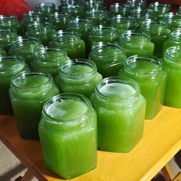 云南大山里的野生五倍子蜜