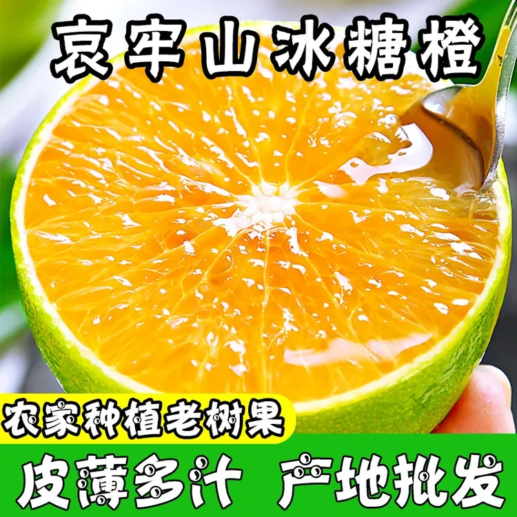 【云南冰糖橙】高海拔哀牢山薄皮新鲜孕妇水果超甜青皮橙子整箱批发