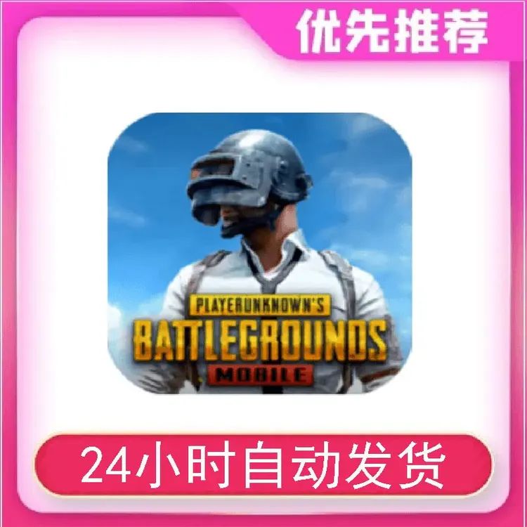 pubg 国际服 刺激战场 手机平板通用游戏安装服务