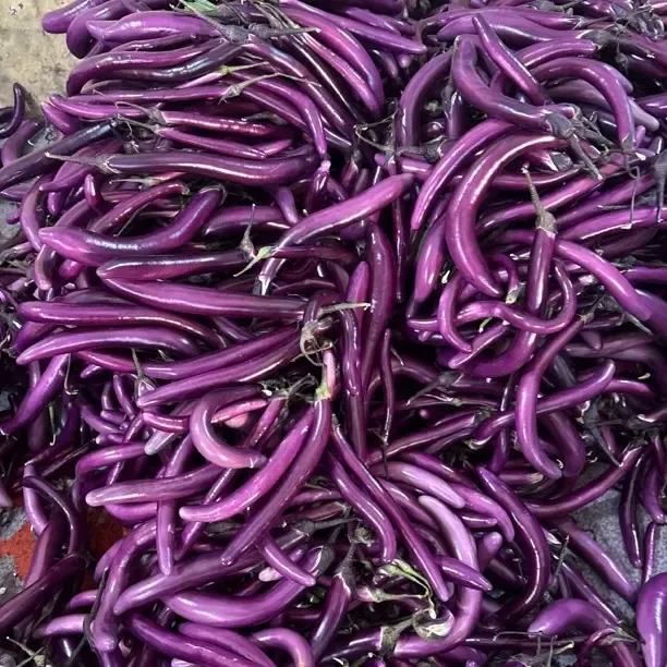 线茄子细长软糯鲜甜皮薄肉嫩农家应季蔬菜新鲜长茄当季农产品
