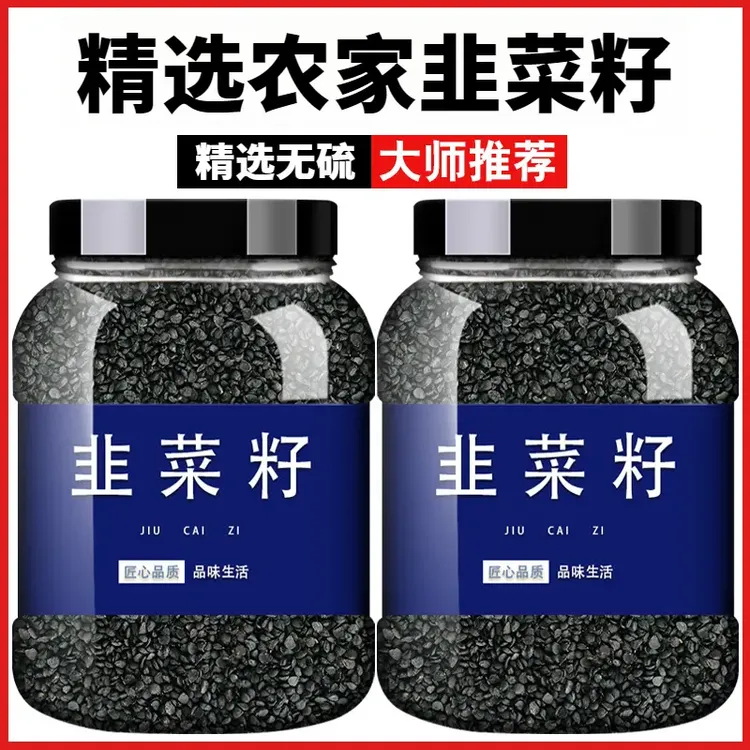 正宗农家自采韭菜籽地道选材韭菜子枸杞男性泡水品质保证新货无硫