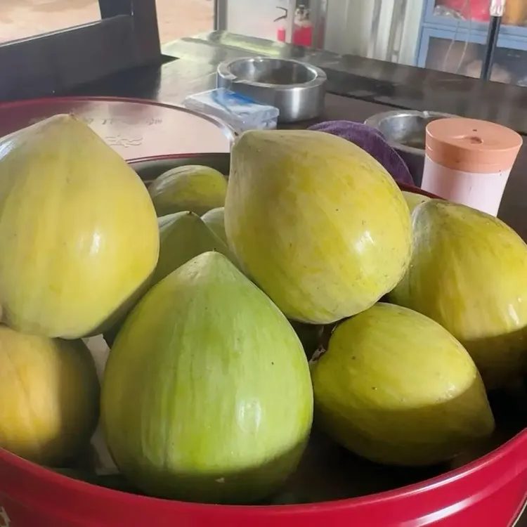AL罗斯果3斤新品上市大母树果湿包香甜放软食用