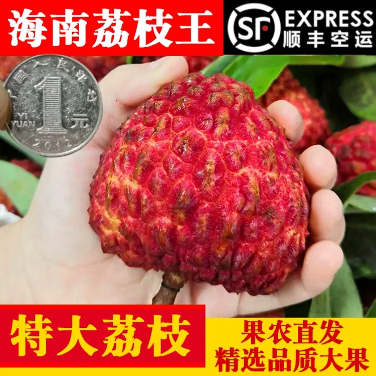 海南荔枝王当季新鲜水果包邮整箱超大时令火山口应季巨无霸荔枝