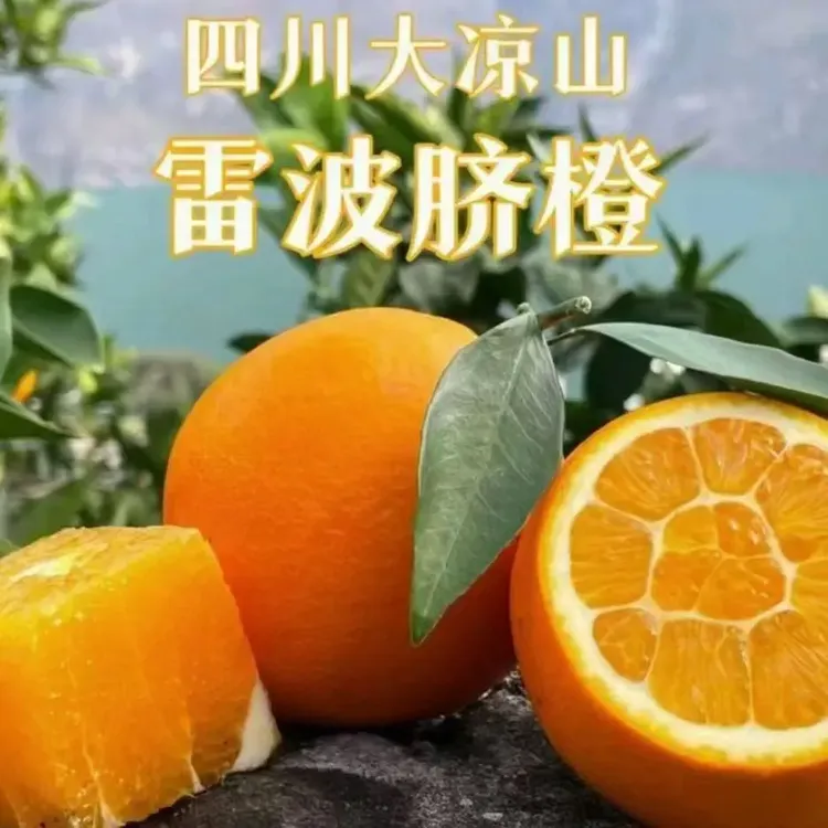 正宗雷波脐橙新鲜现摘多汁香甜应季水果