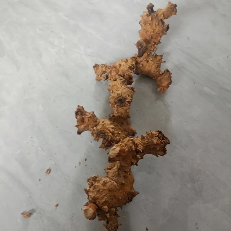 云南新鲜金刚藤老桩摆件，