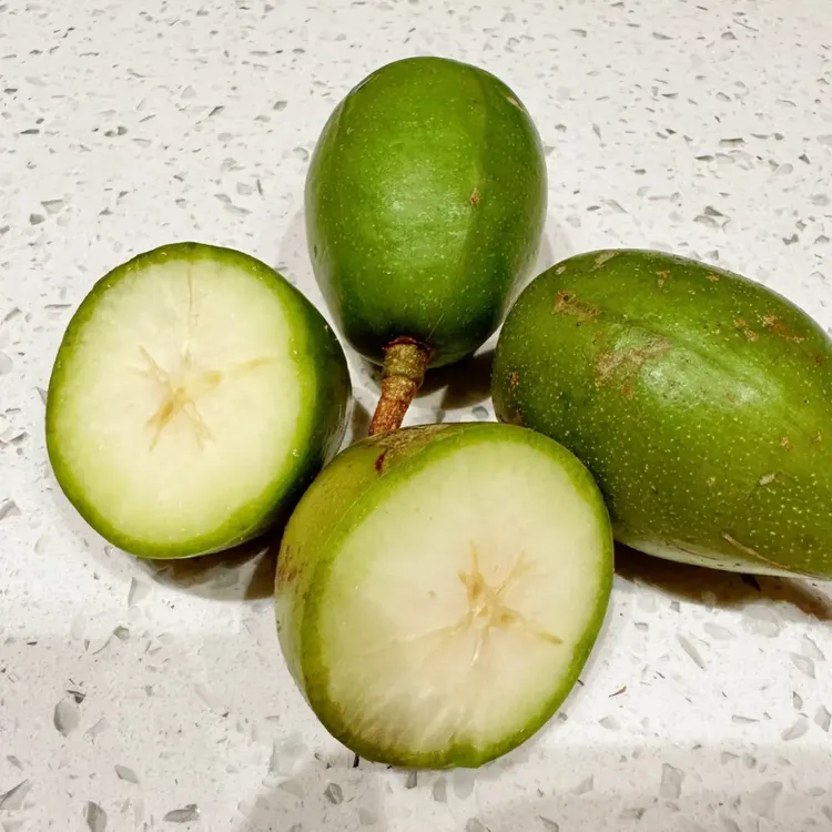 云南金平 酸果 马卵果 嘎哩啰 味精果生吃水果太平洋橄榄新鲜