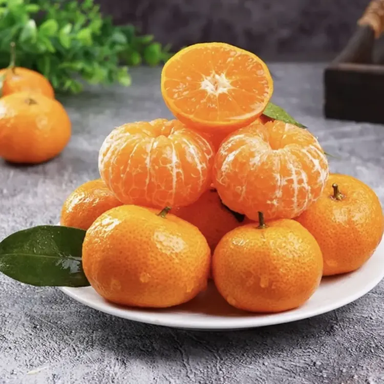 正宗砂糖橘新鲜水果现摘现发爆甜多汁薄皮应季桔子