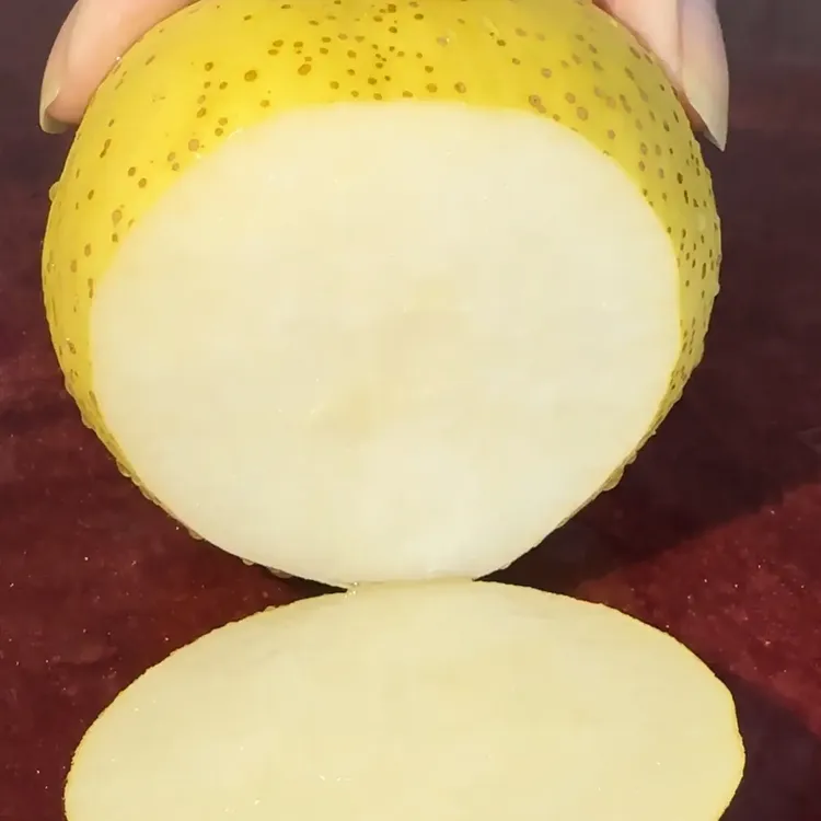 东北锦州黑山锦丰梨水果脆甜多汁皮薄老树梨子金黄甜梨5斤包邮