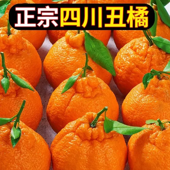 正宗不知火丑橘子新鲜水果采摘应季时令水果1-9斤酸爽桔子丑八怪