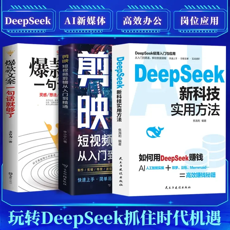DeepSeek极简与入门如何用DeepSeek赚钱DeepSeek新科技实用方法YW