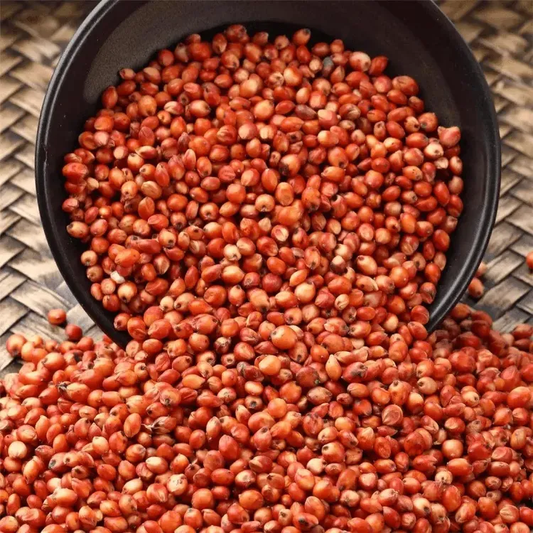 红高粱 五谷杂粮鸟食赛鸽肉鸽鸽子粮酿酒酿醋带壳高粱