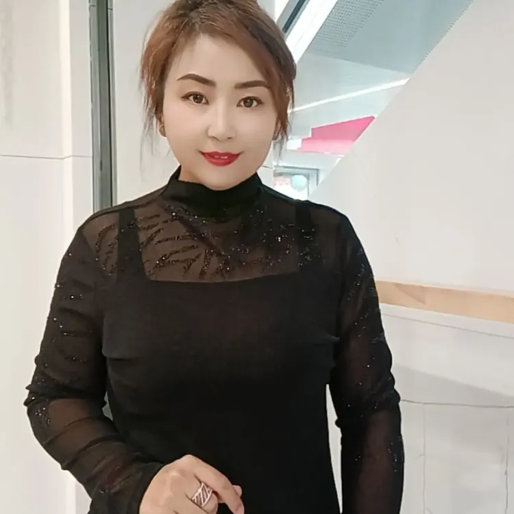 秋冬新款中领打底修身显瘦百搭网纱中高领上衣女