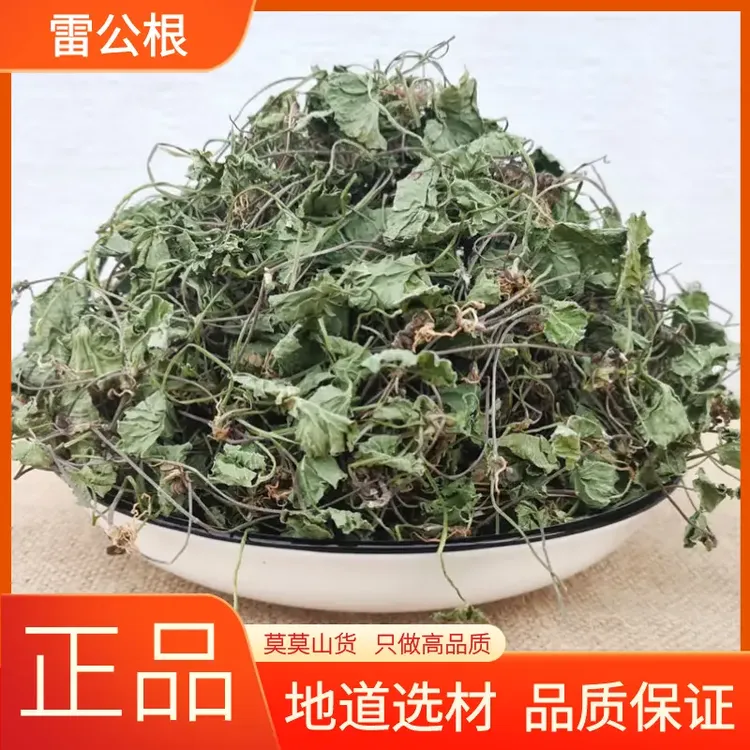 福建福安野生雷公根新鲜晒干乞丐碗积雪草干货煮水根部炖汤煲猪肚