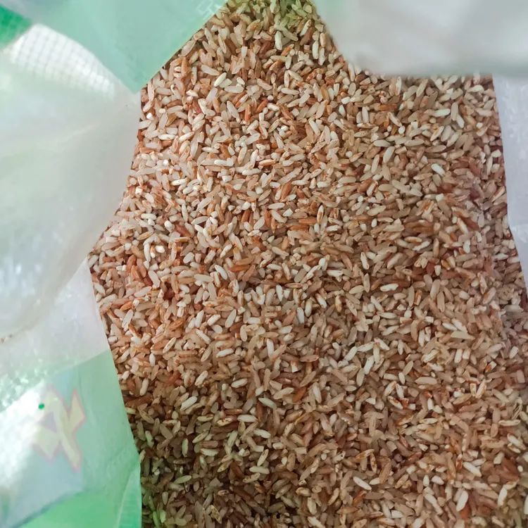 元阳哈尼梯田软红米