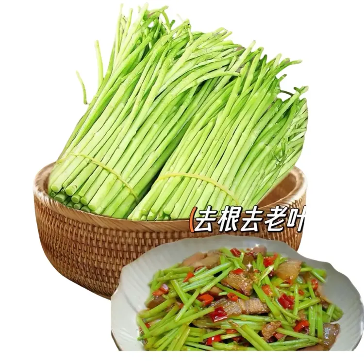 新鲜藜蒿 农家自种鲜嫩翠绿美味蔬菜藜蒿