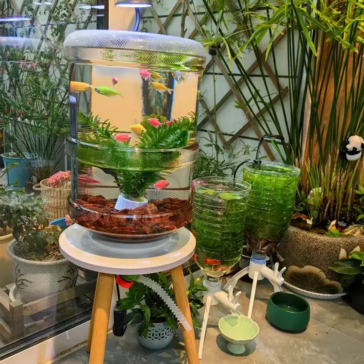 纯净水桶养鱼创意透明鱼缸矿泉水桶改装生态鱼缸自制PC桶养鱼缸桶