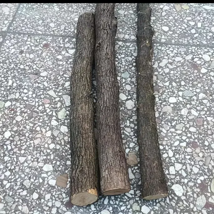 原生态野生酸枣子树雕刻原料