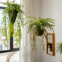 【推荐】仿真蕨类垂吊悬挂植物吊球吊饰空中挂饰