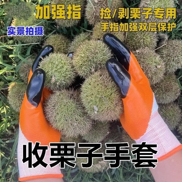 W板栗剥壳专用手套防刺耐磨防滑摘栗子拾果加厚防护套工地干活劳